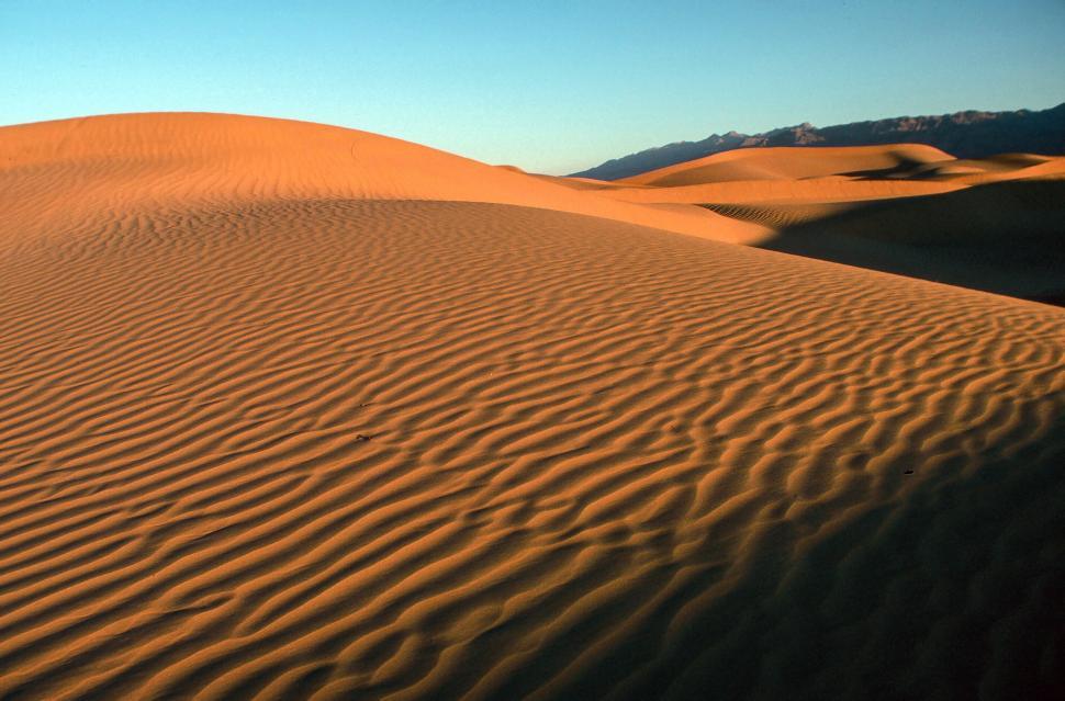 Free Image of Sand Dunes 