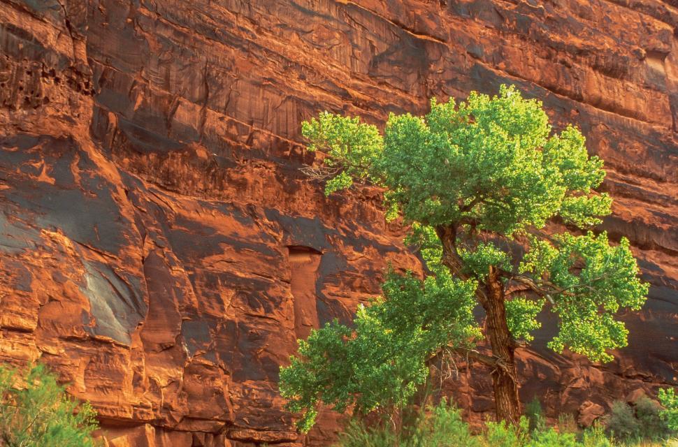 Free Image of Kane Creek Canyon 