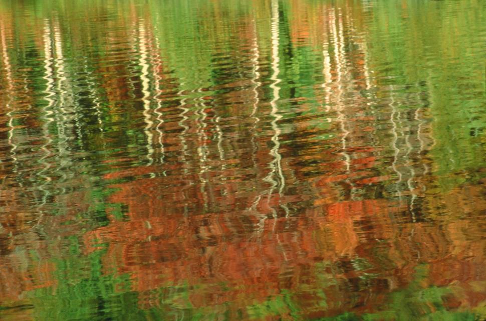 Free Image of Bubble Pond Reflection in Autumn 