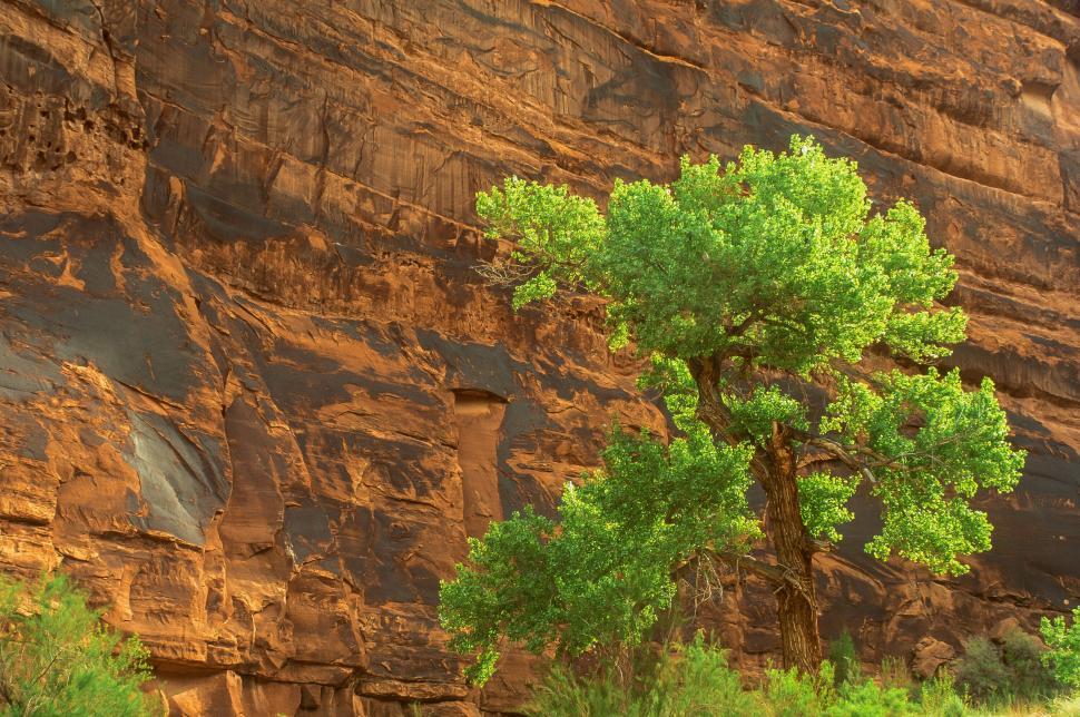 Free Image of Kane Creek Canyon in Utah 