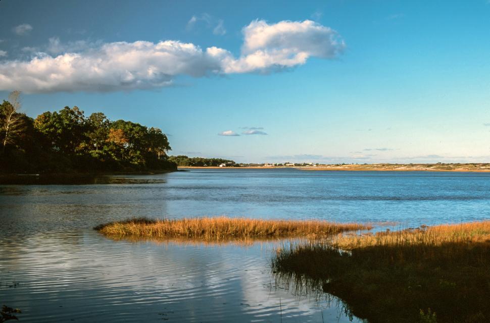 Free Image of National Wildlife Refuge in Ogunquit, Maine 