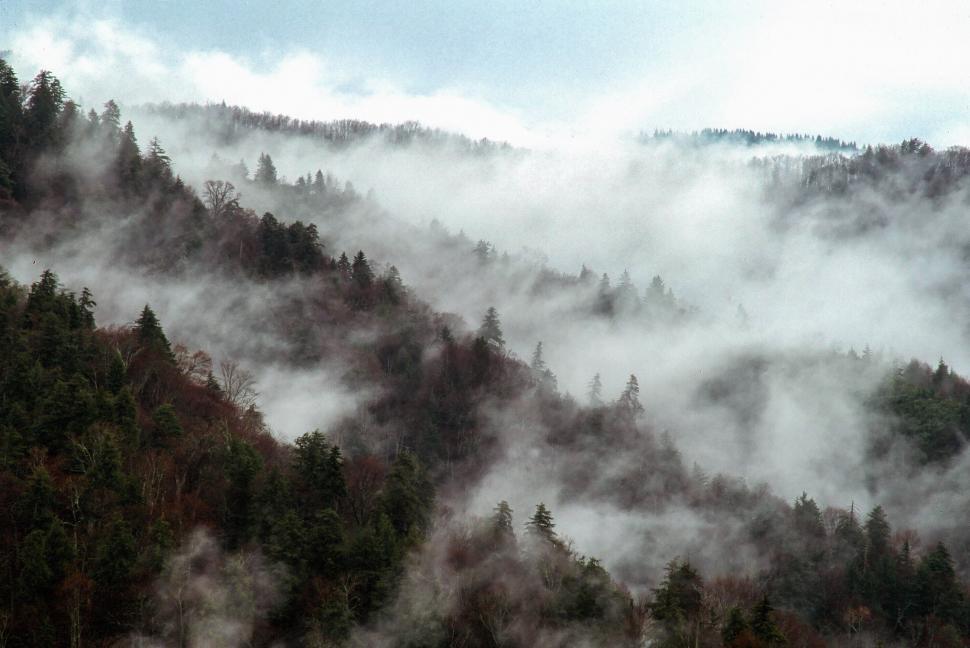 Free Image of Great Smoky Mountains National Park 