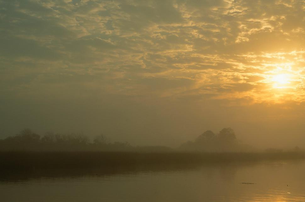 Free Image of Apalachicola River 
