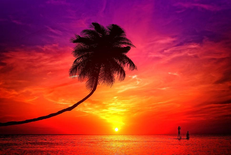 Free Image of A romantic couple enjoying the sunset in a tropical island 