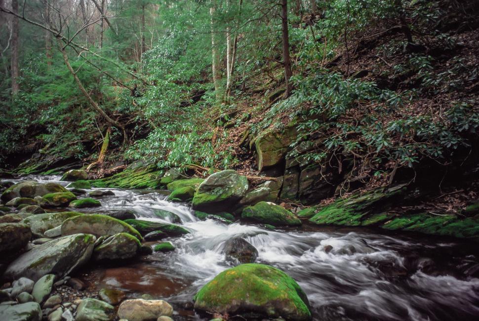 Free Image of Roaring Fork Falls 