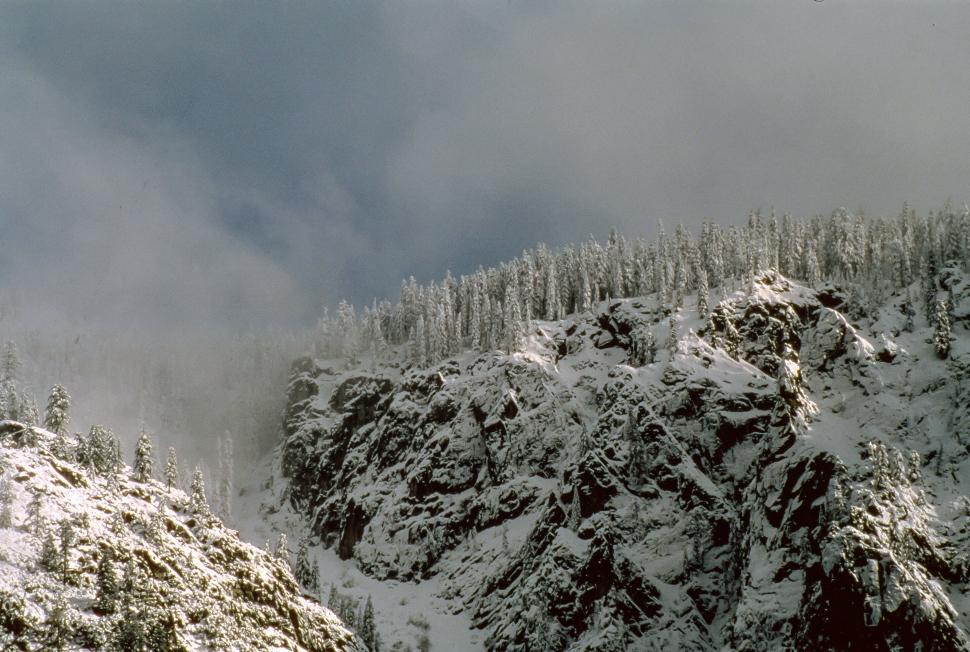 Free Image of Snow Covered Yosemite Valley 