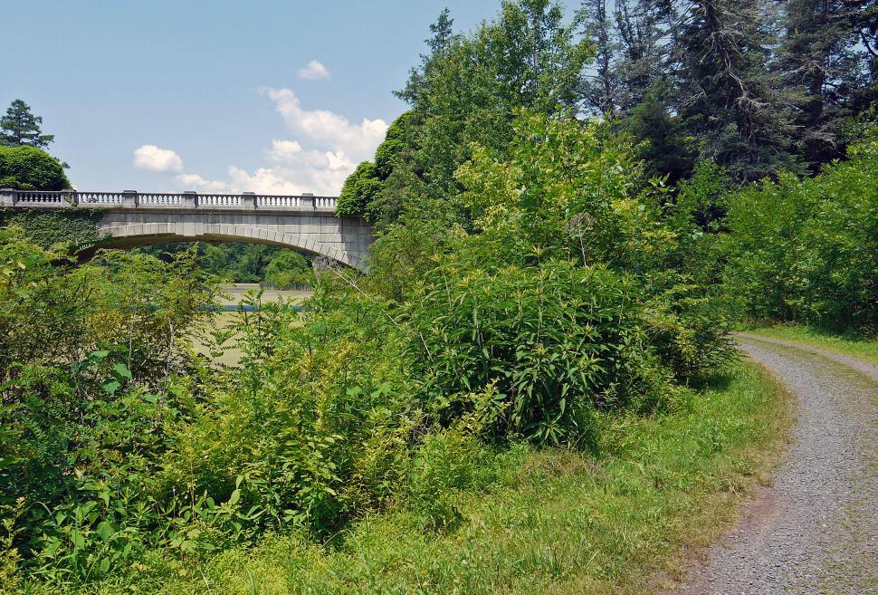 Free Image of Stone Bridge 