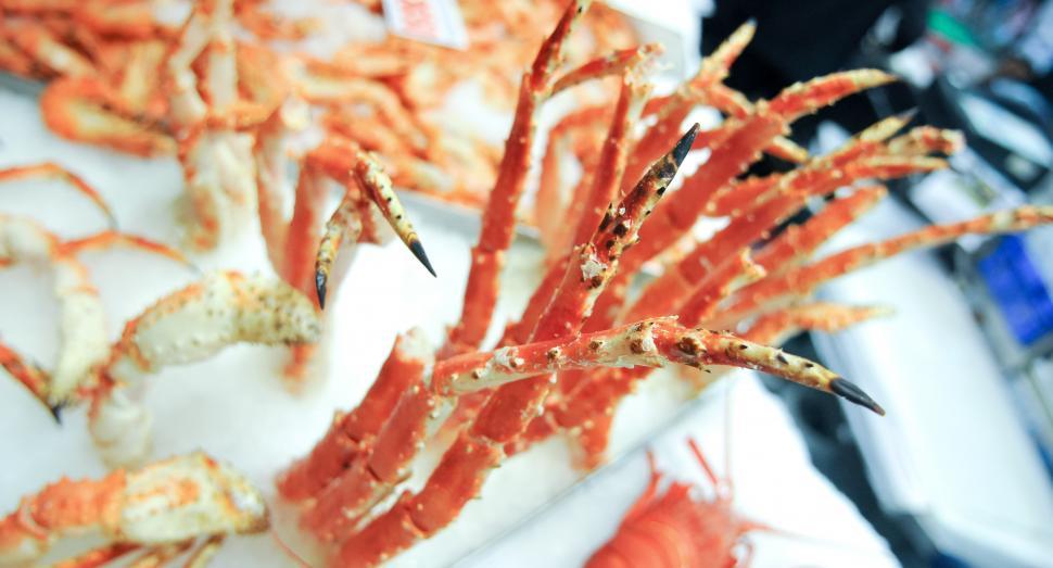 Free Image of Crab legs 