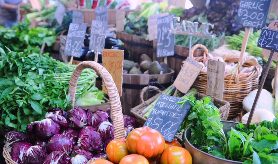 Free Image of Farmers Market 