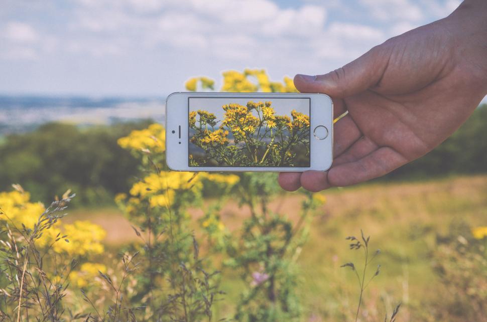 Free Image of Mobile phone photography 