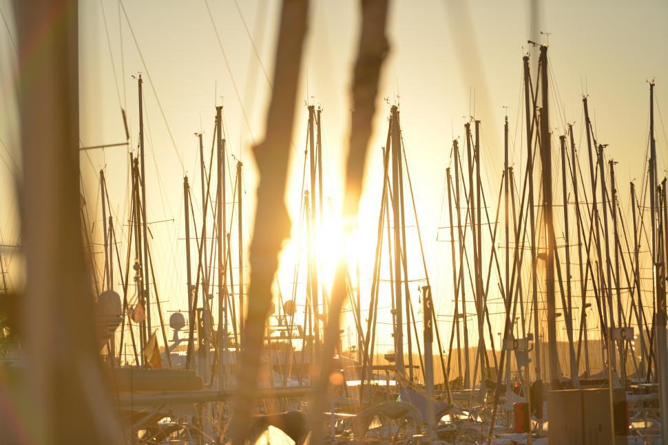 Free Image of Sunrise at marina 