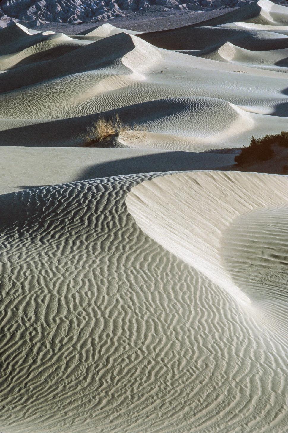 Free Image of Sand Dunes 
