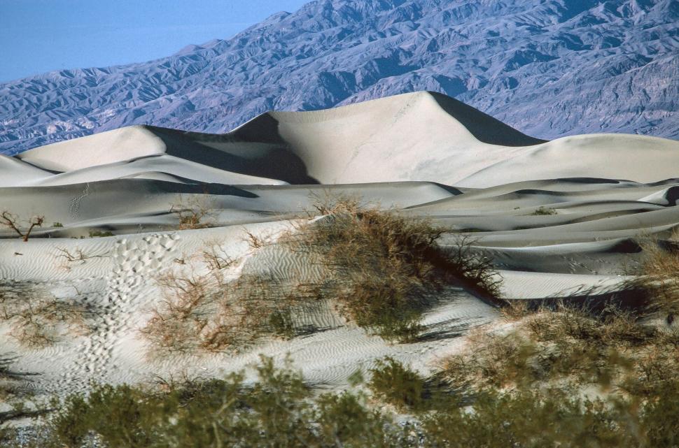 Free Image of White Sand dunes 