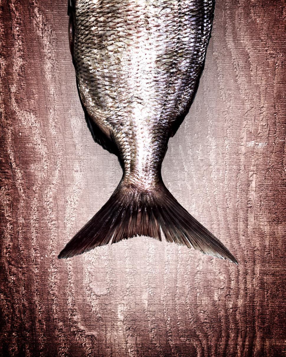 Free Image of Snapper fish tail on red wood background - Healthy eating 