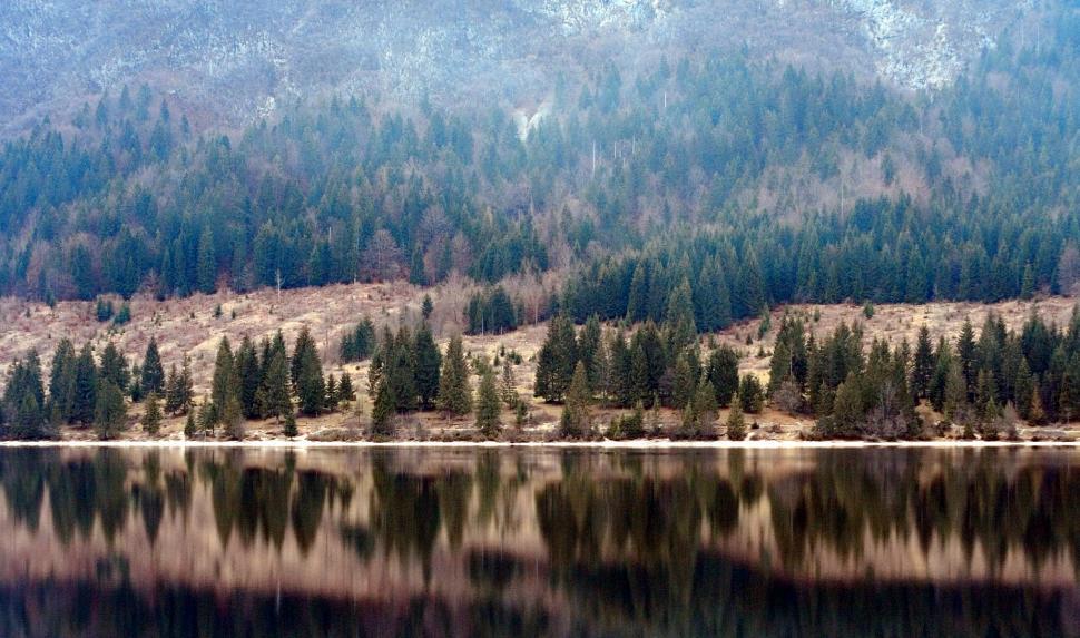 Free Image of Reflections 