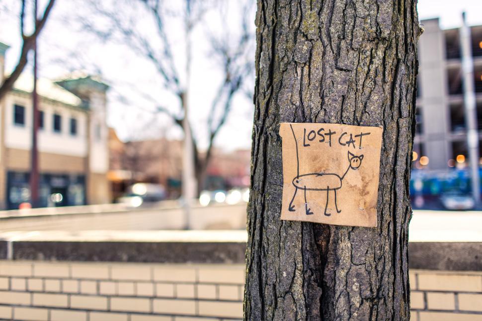 Free Image of Placard On Tree 