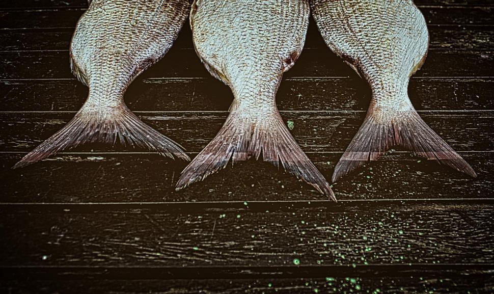 Free Image of Fish ready to smoke on wood background - Vintage image of their  
