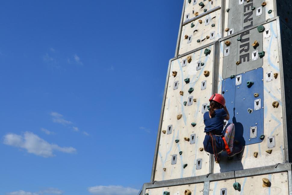 Free Image of Little wall climber  