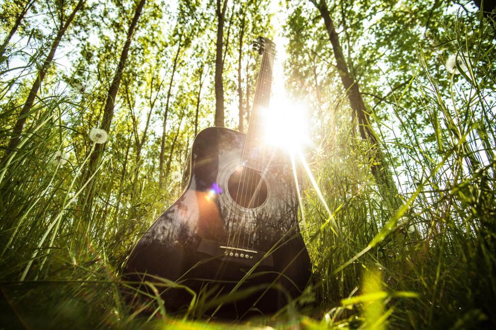 Free Image of Guitar and sunshine 