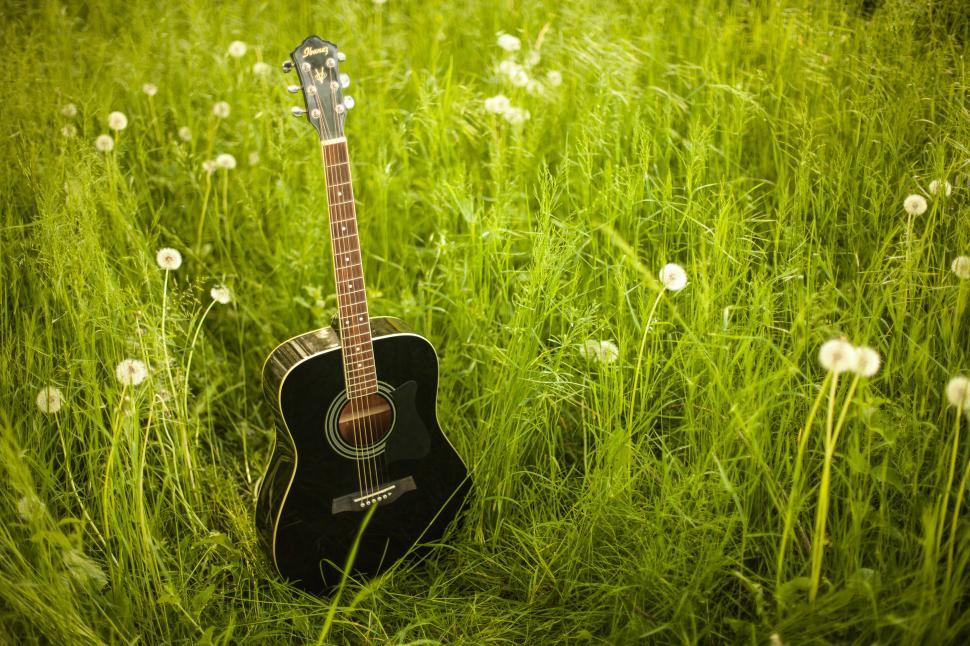 Free Image of Guitar and flowers 
