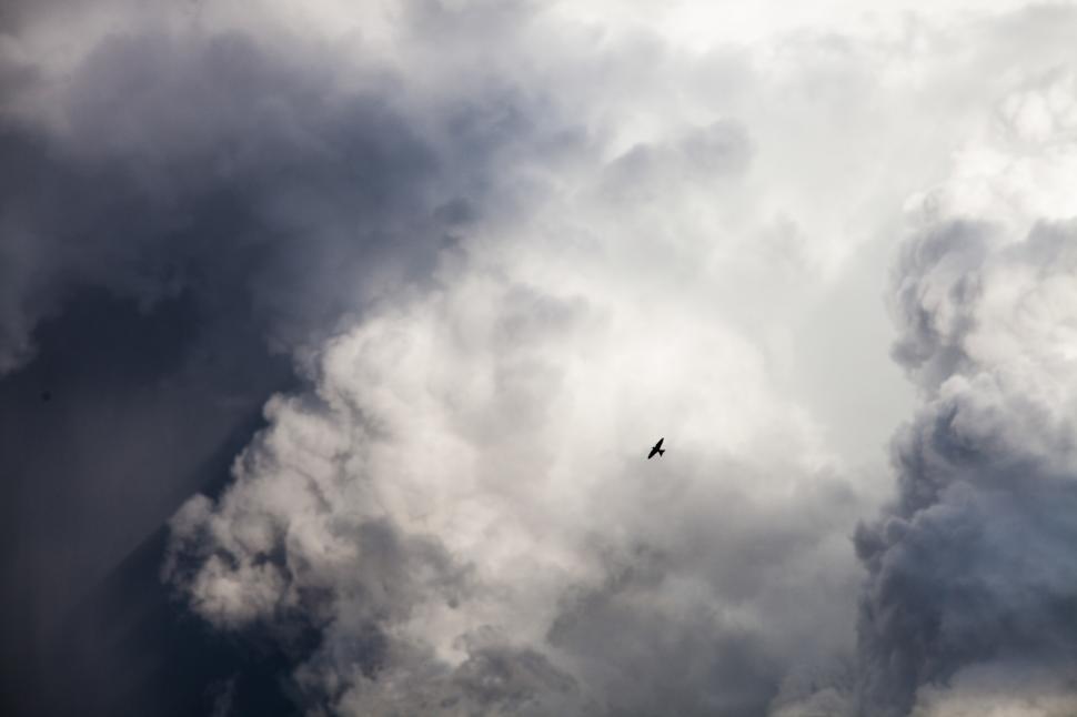 Free Image of Grey and white clouds 