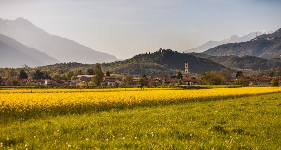 Free Image of Agricultural field 