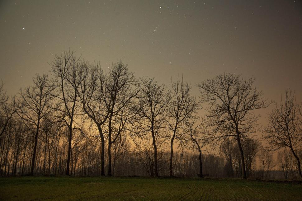 Free Image of  Night sky full of stars  