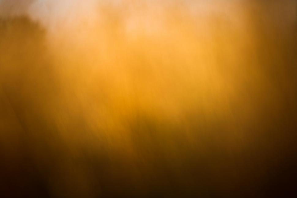 Free Image of Sunset in the field 