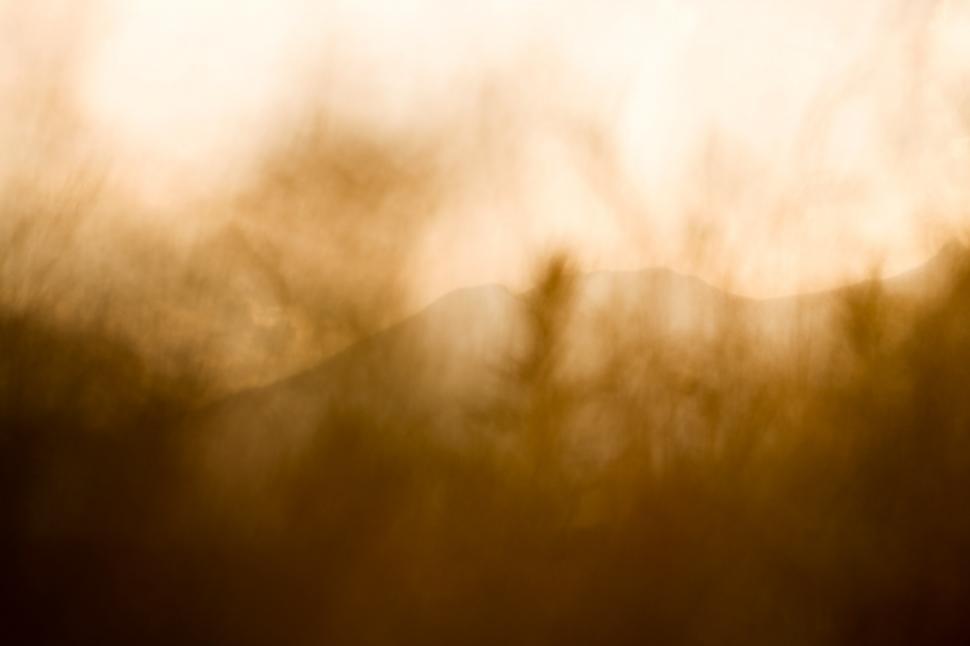 Free Image of Golden wheat field  