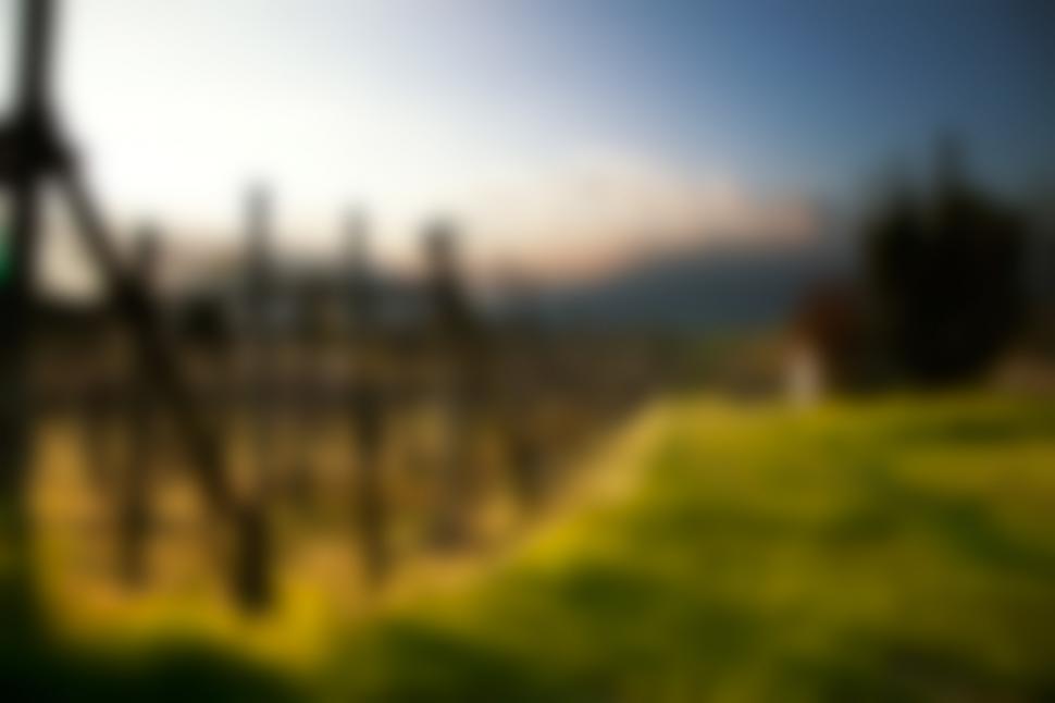 Free Image of Agricultural field 