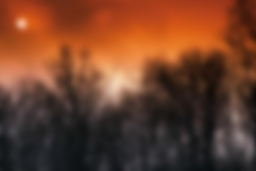 Free Image of  Agricultural field  