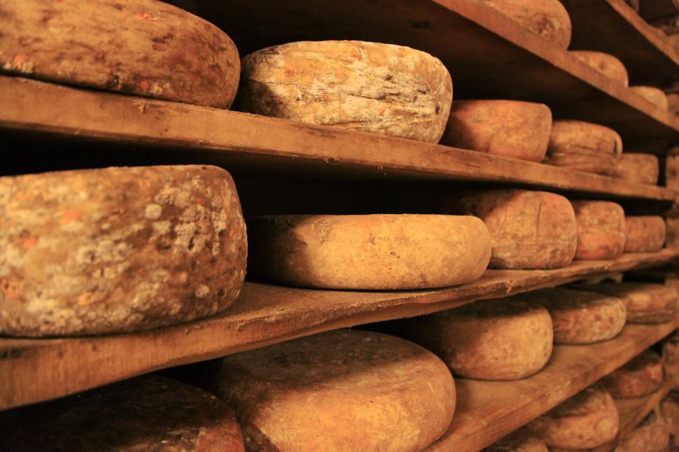 Free Image of Wheels of cheese  
