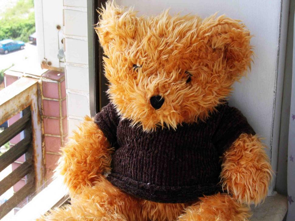 Free Image of Teddy bear 