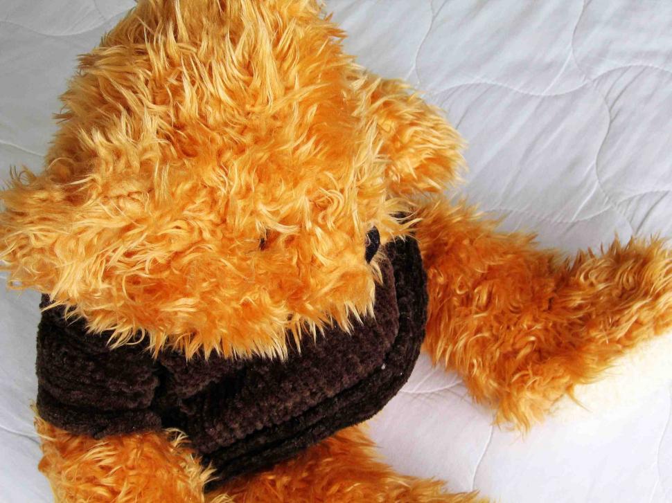 Free Image of Teddy bear 