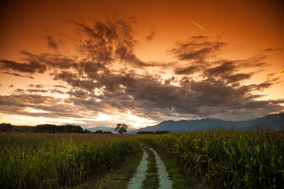 Free Image of Pastel sky 