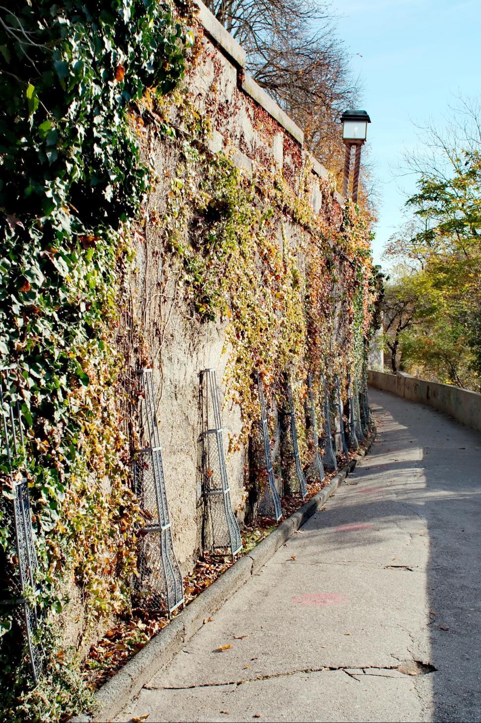 Free Image of The wall 
