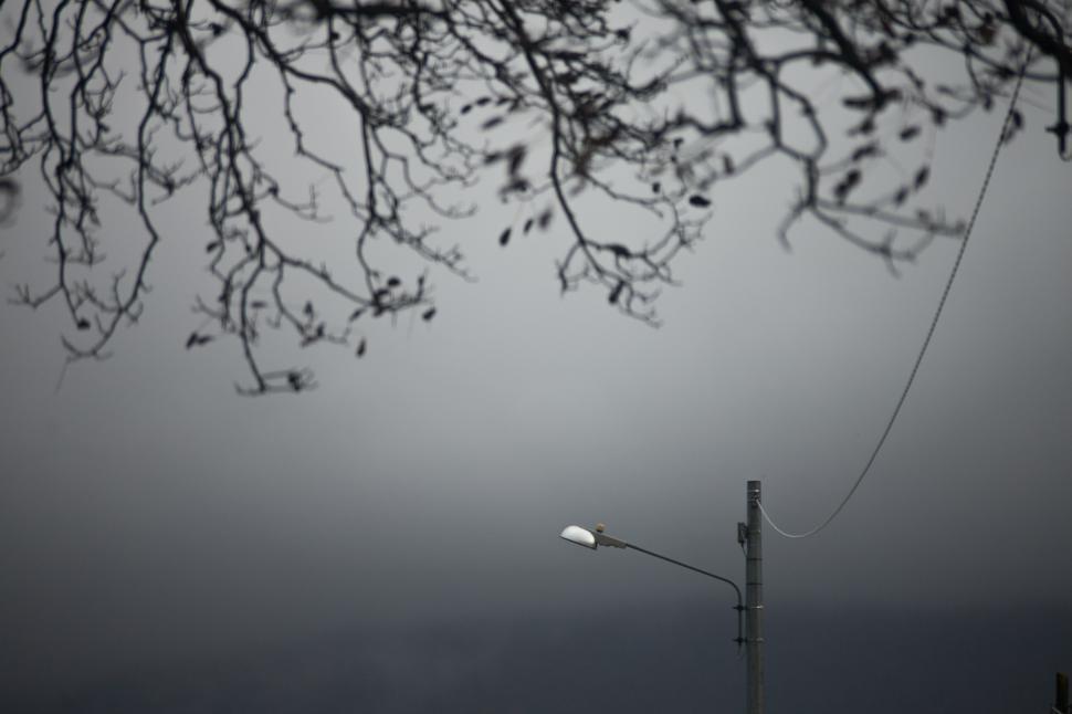Free Image of Light post 