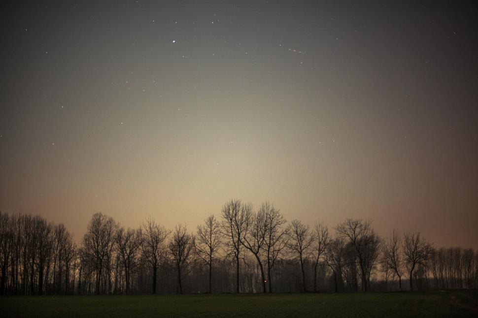 Free Image of Starry sky 