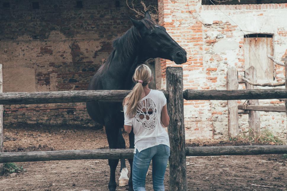 Free Image of Woman standing by horse in stable 