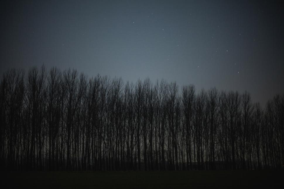 Free Image of Starry sky 