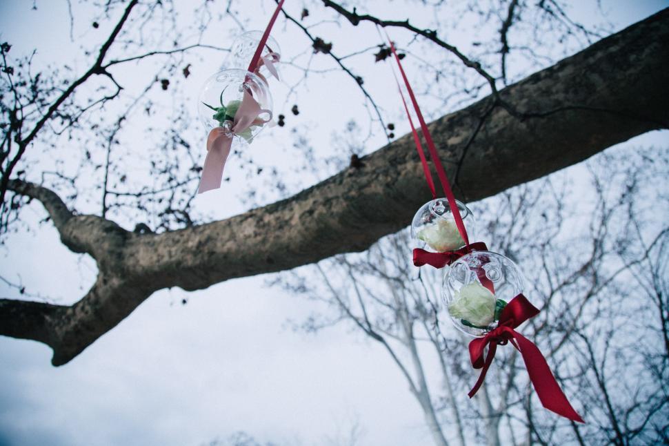 Free Image of Christmas glass ornaments 