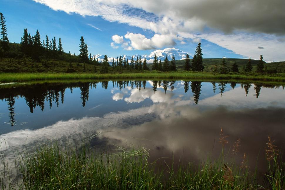 Free Image of Nuggetpond at Denali National Park and Preserve in Alaska 