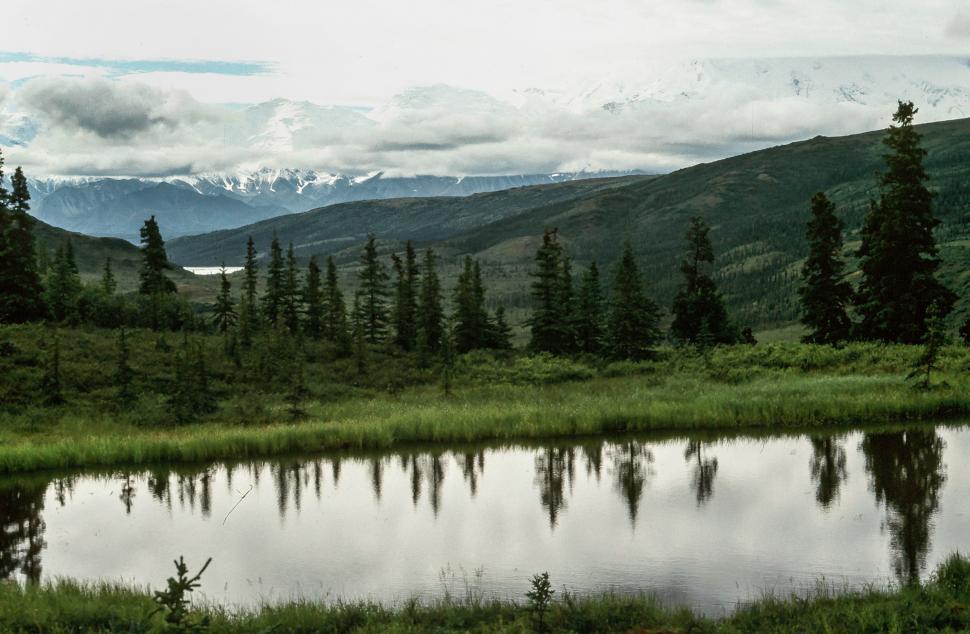 Free Image of Denali National Park and Preserve 
