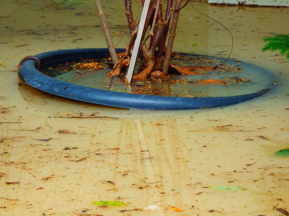 Free Image of Flooding Garden  