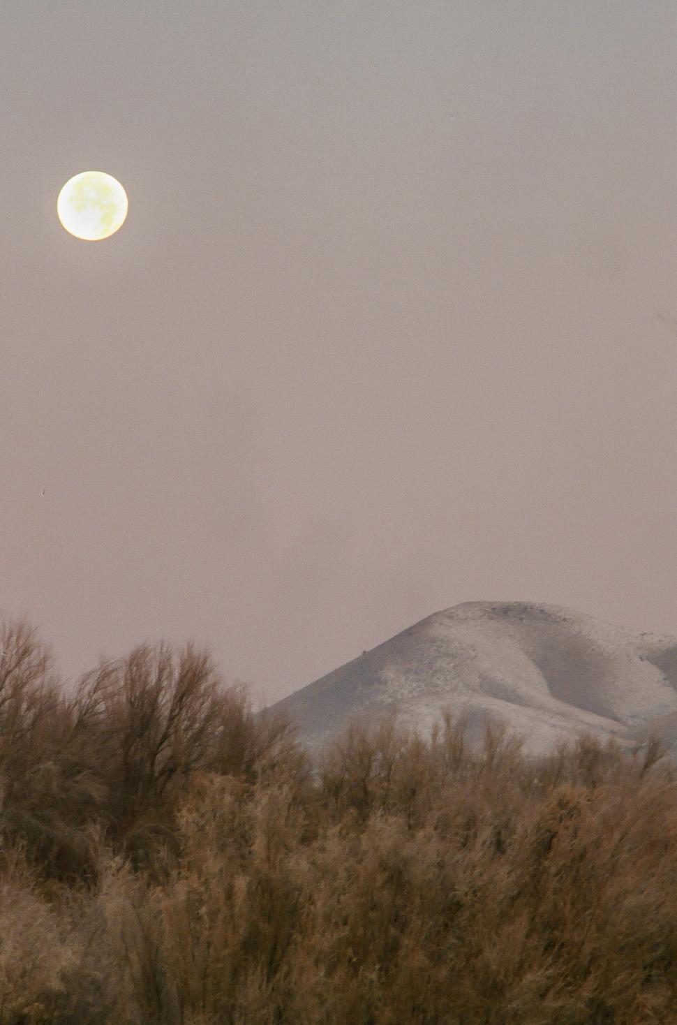Free Image of Moonset at Bosque del Apache 