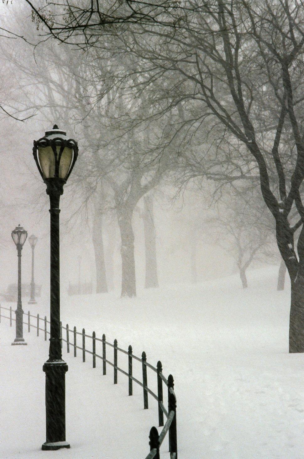 Free Image of Snow Fall 