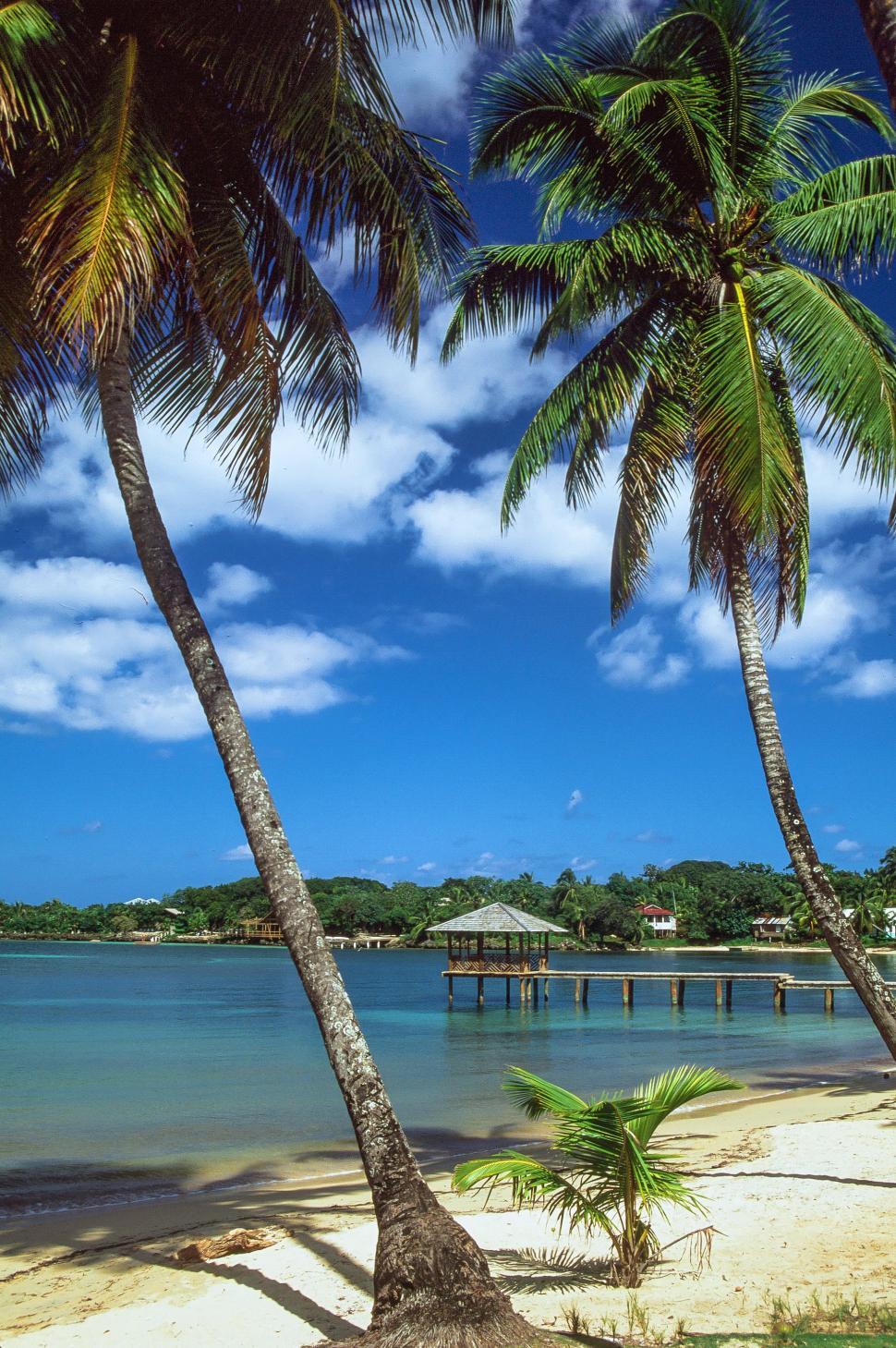 Free Image of Roatan Island in Honduras 
