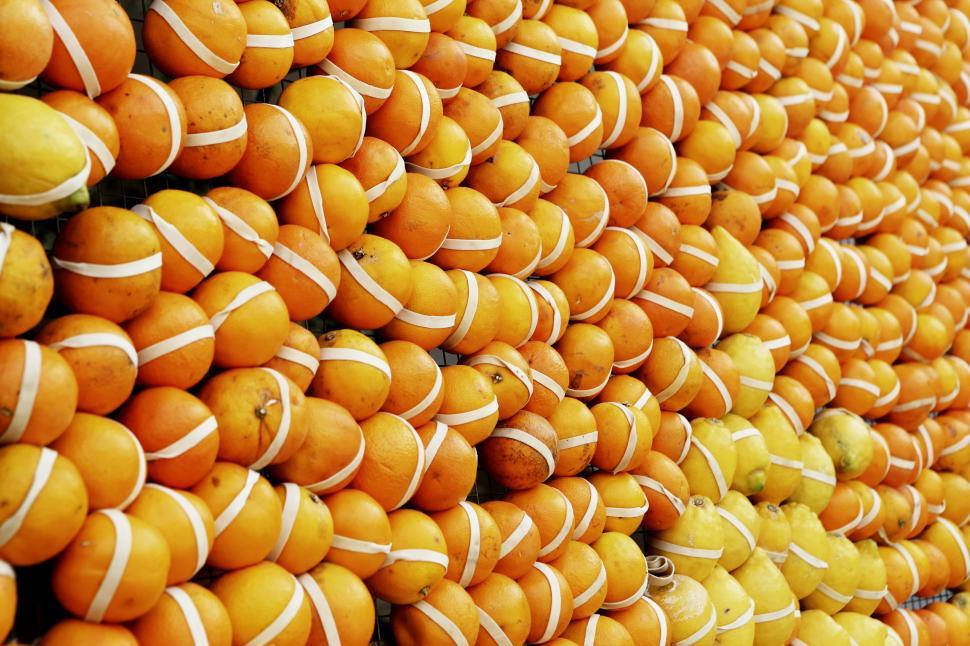 Free Image of Abundance of Tennis Balls and Oranges 