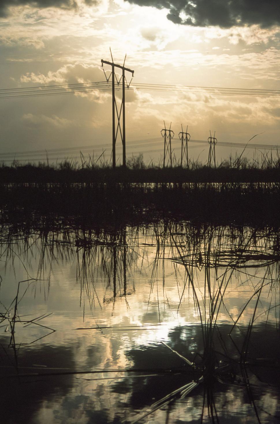 Free Image of Utility poles 