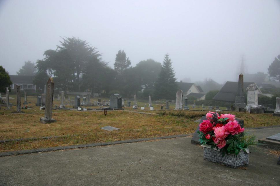 Free Image of Flowers in foggy cemetery 